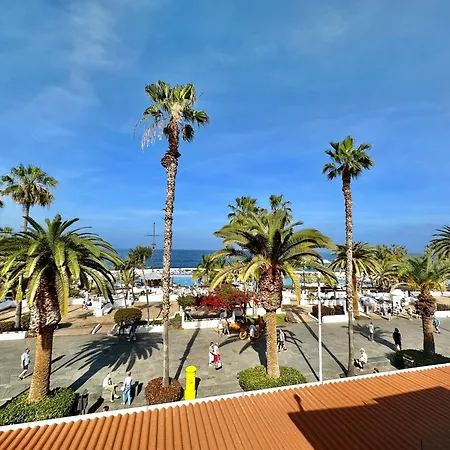 Oasis Club Attic Puerto de la Cruz (Tenerife)